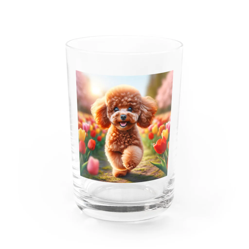 ストア・ザ・ダッチのトイプードルグッズ Water Glass :front