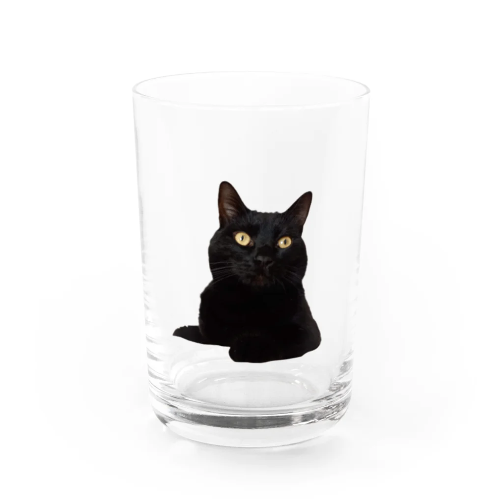 AiByoの愛猫 グラス前面