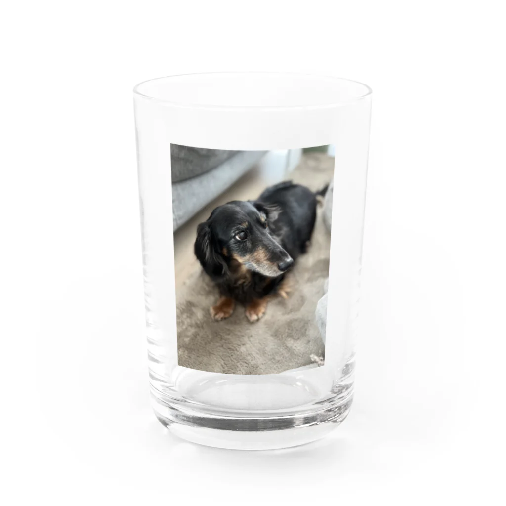 Kawaii-Animaru-Storeの犬 Water Glass :front