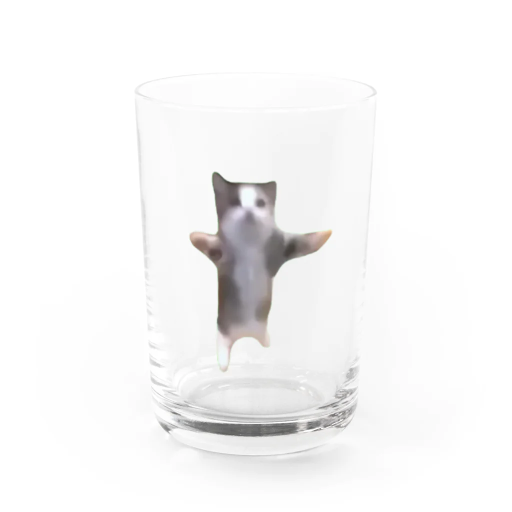 猫ミームグッズの【猫ミーム】Happy Happy Cat Water Glass :front