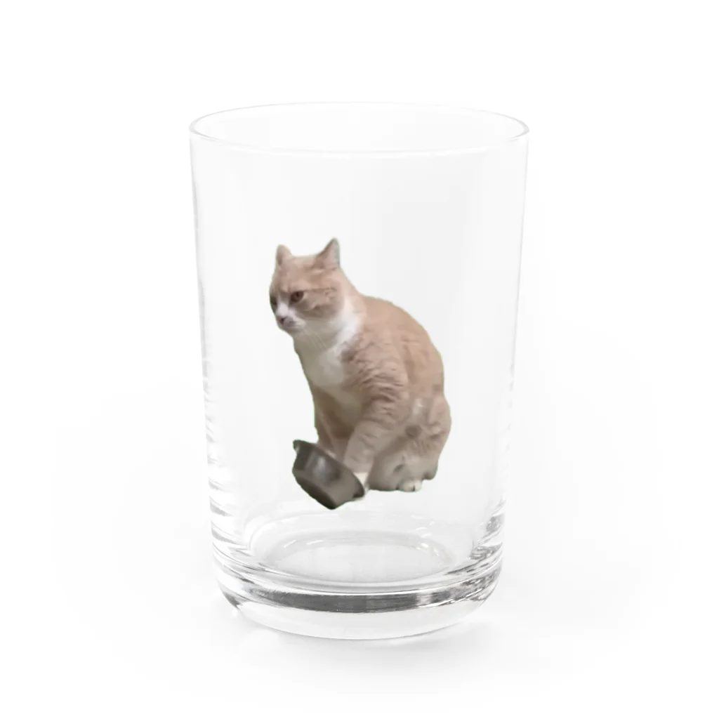 猫ミームグッズの【猫ミーム】餌を催促する猫 グラス前面