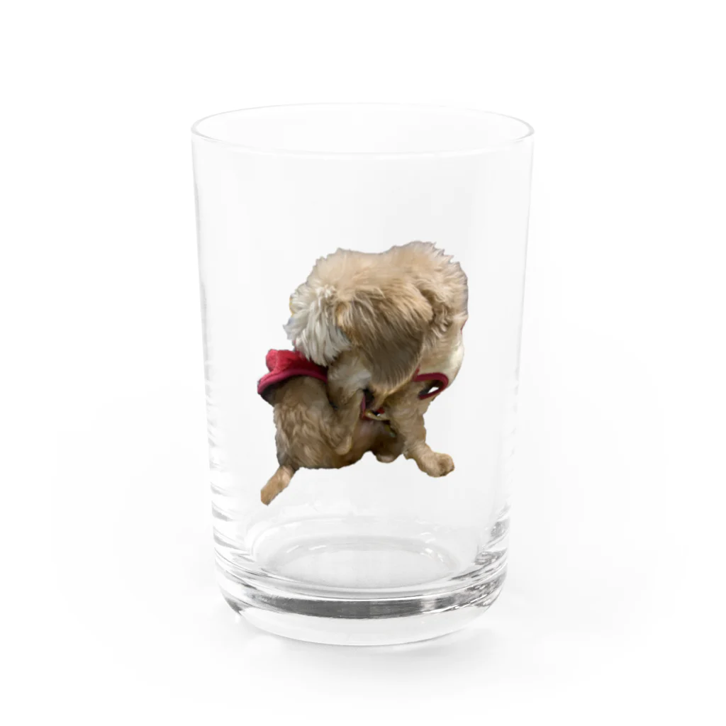 Ruice-Iceの犬　ガジガジ Water Glass :front