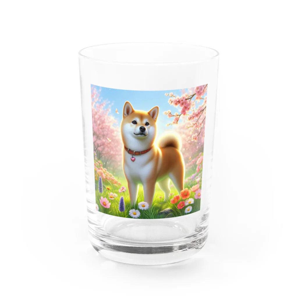 ANTARESの春の柴犬の冒険 Water Glass :front