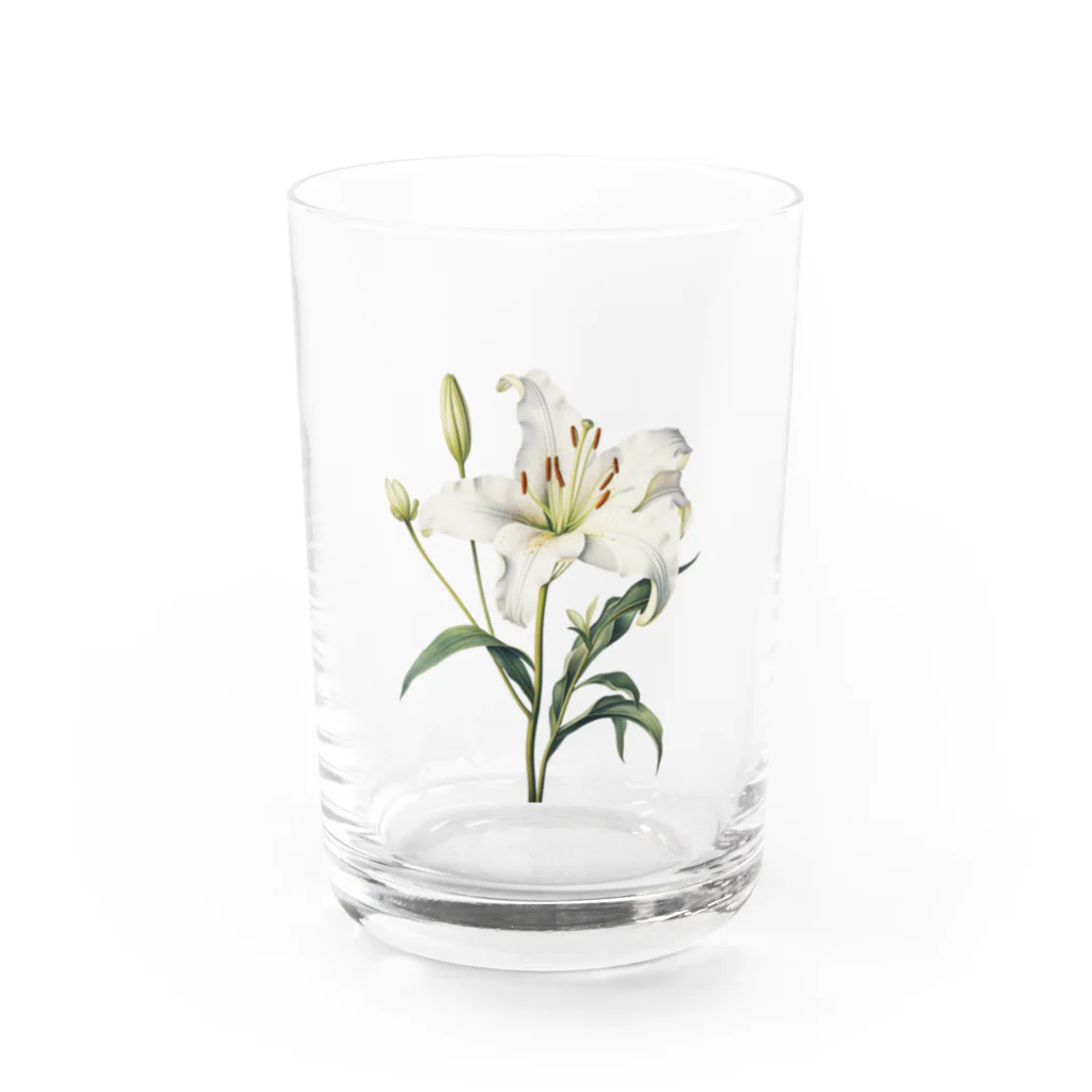 Q_kyuのアンティークリリー Water Glass :front