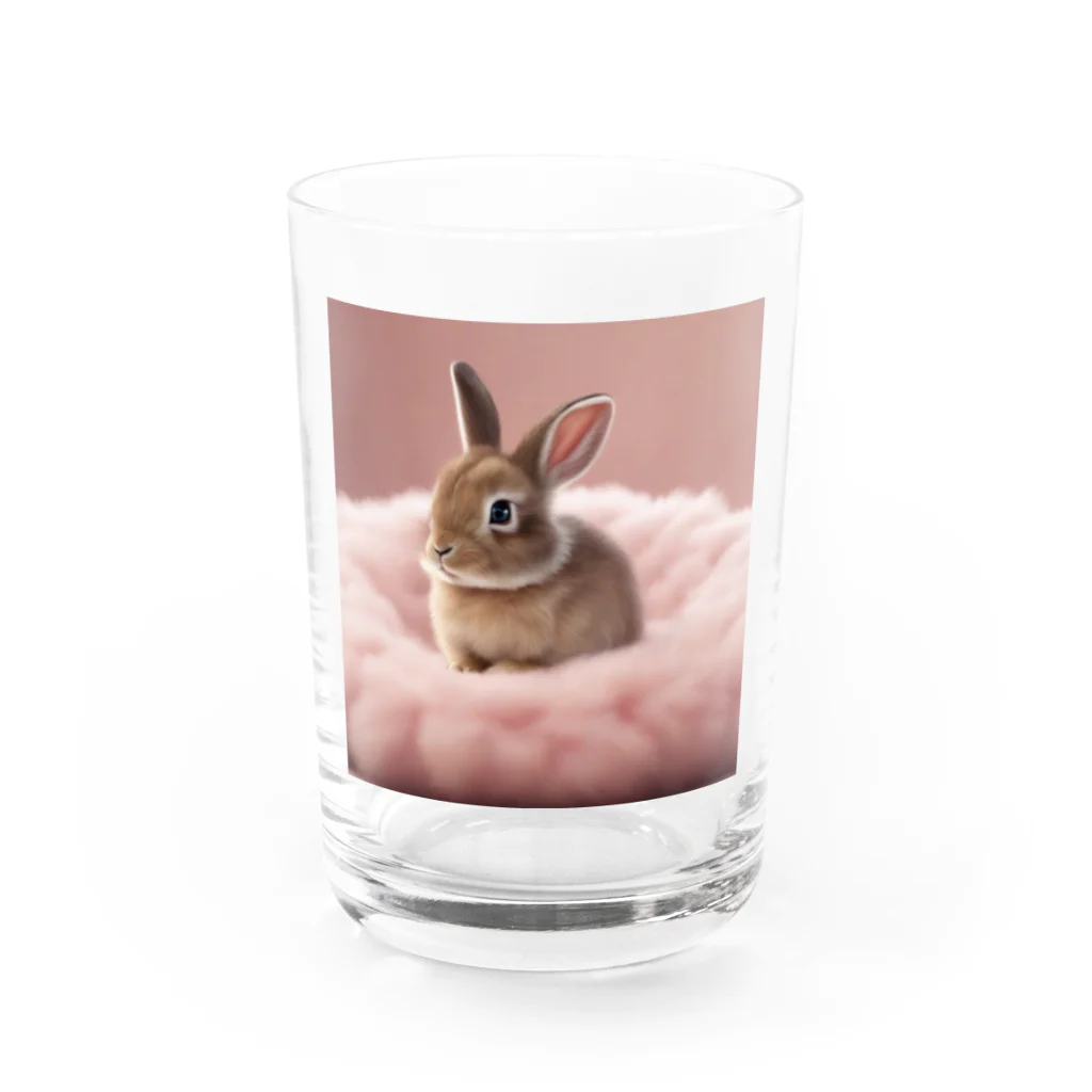 キャリーのふわふわのクッションで遊ぶウサギの赤ちゃん Water Glass :front