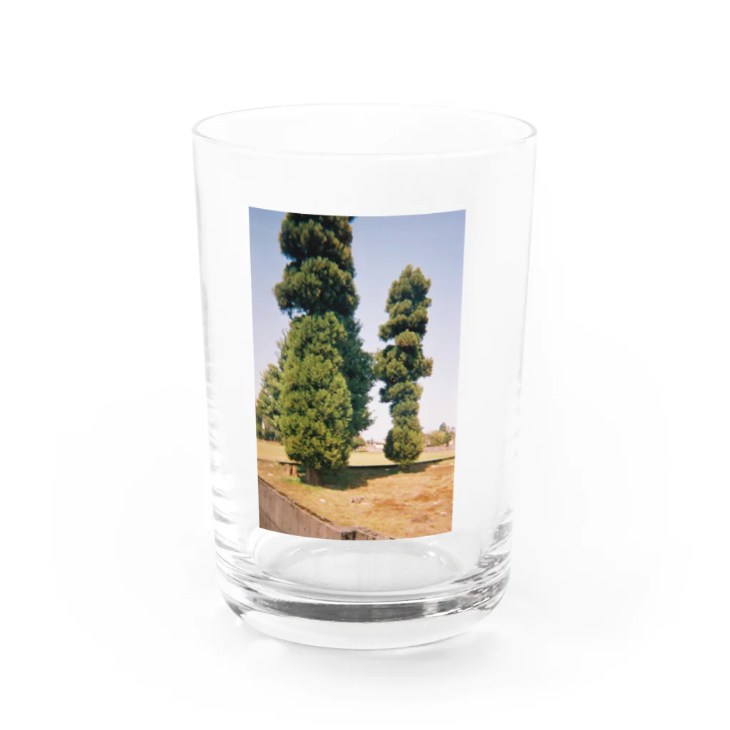 Tataのhome town 2 Water Glass :front