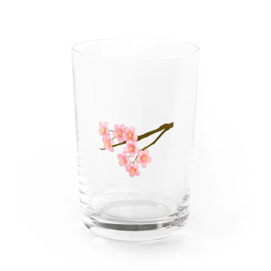 紅藤コミミズクの桜 Water Glass :front