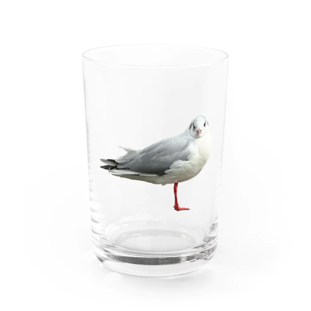 山の門のかもめ　正面 Water Glass :front