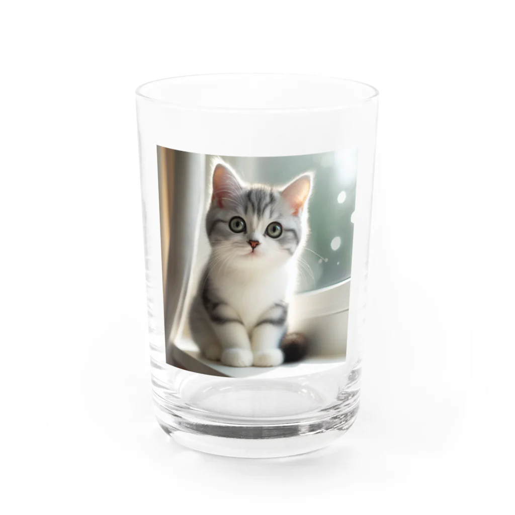 nico711のアメショちゃん Water Glass :front