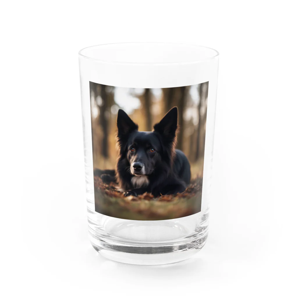 犬太郎の第一弾　『シャドウ』 Water Glass :front