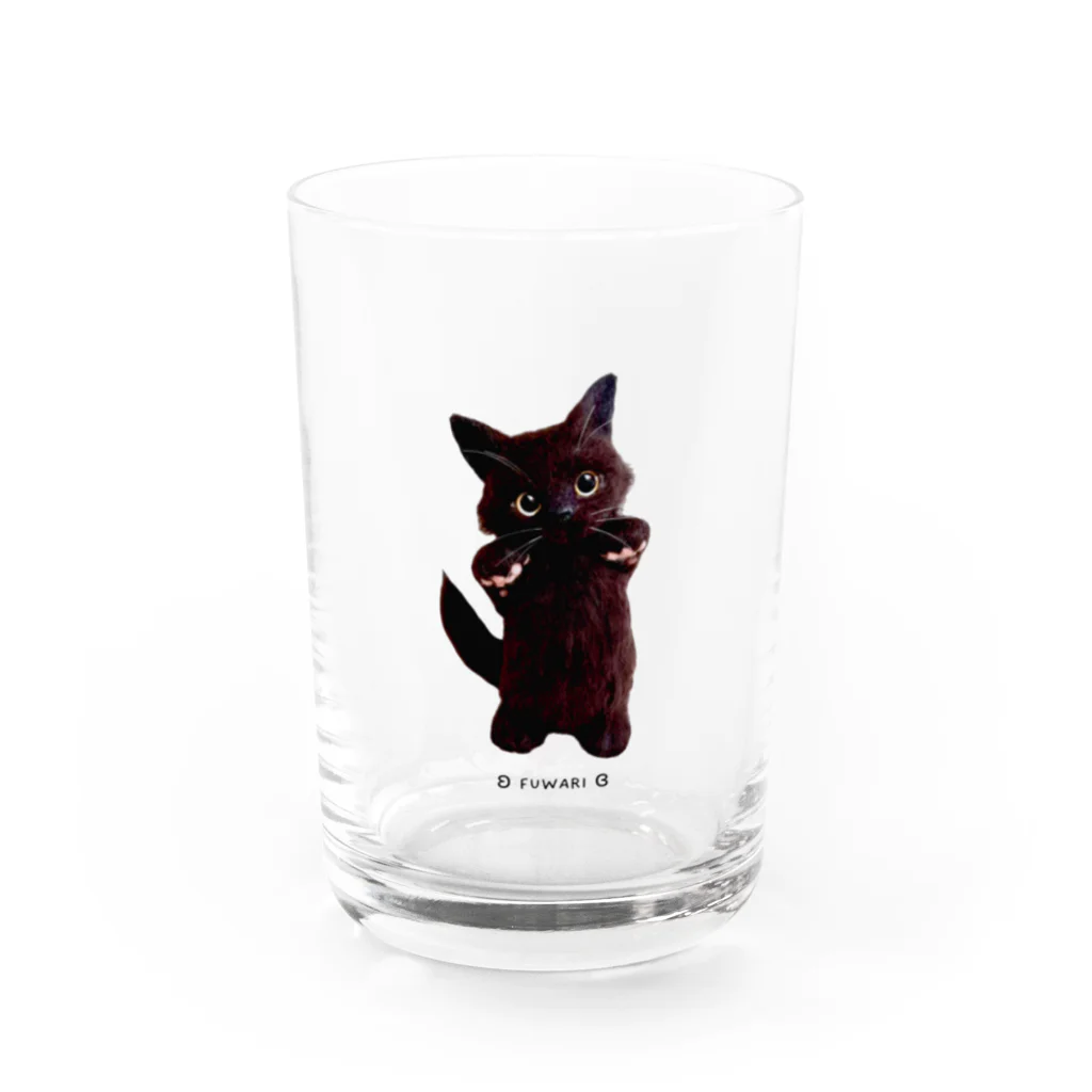 ʚ fuwari ɞのパピ猫立っち/黒猫 Water Glass :front