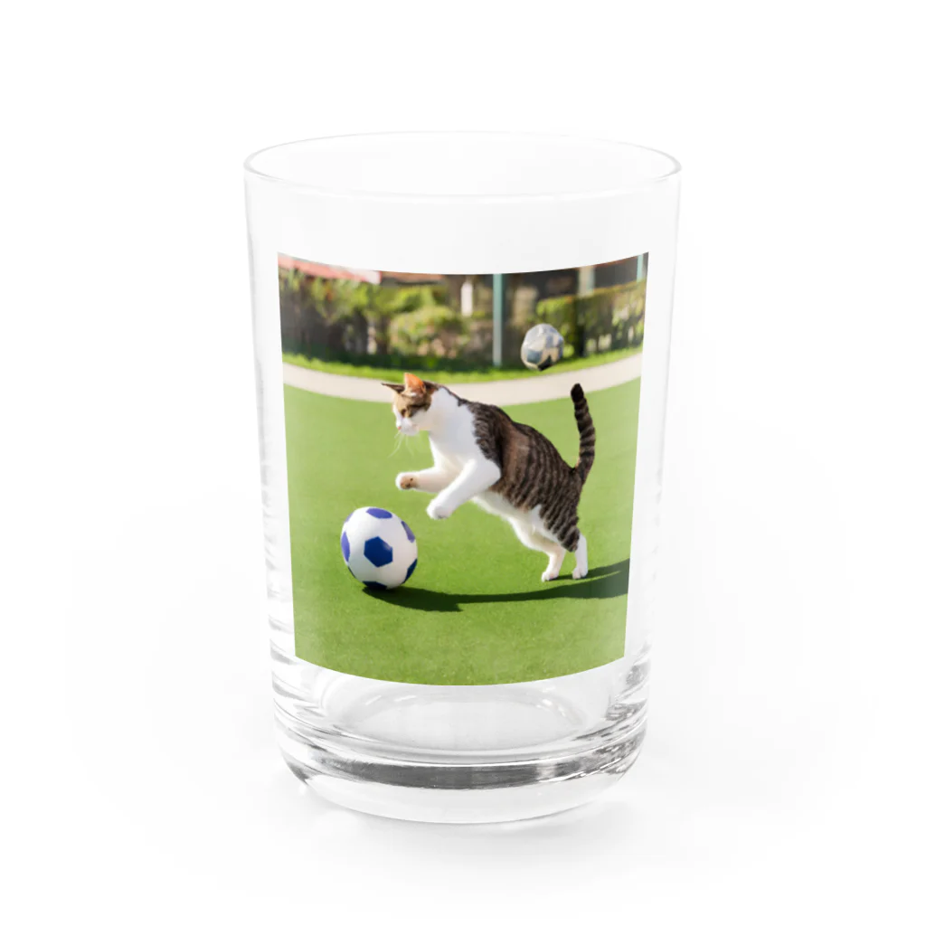 huwahuwa_nikonikoshopのサッカーするネコ Water Glass :front