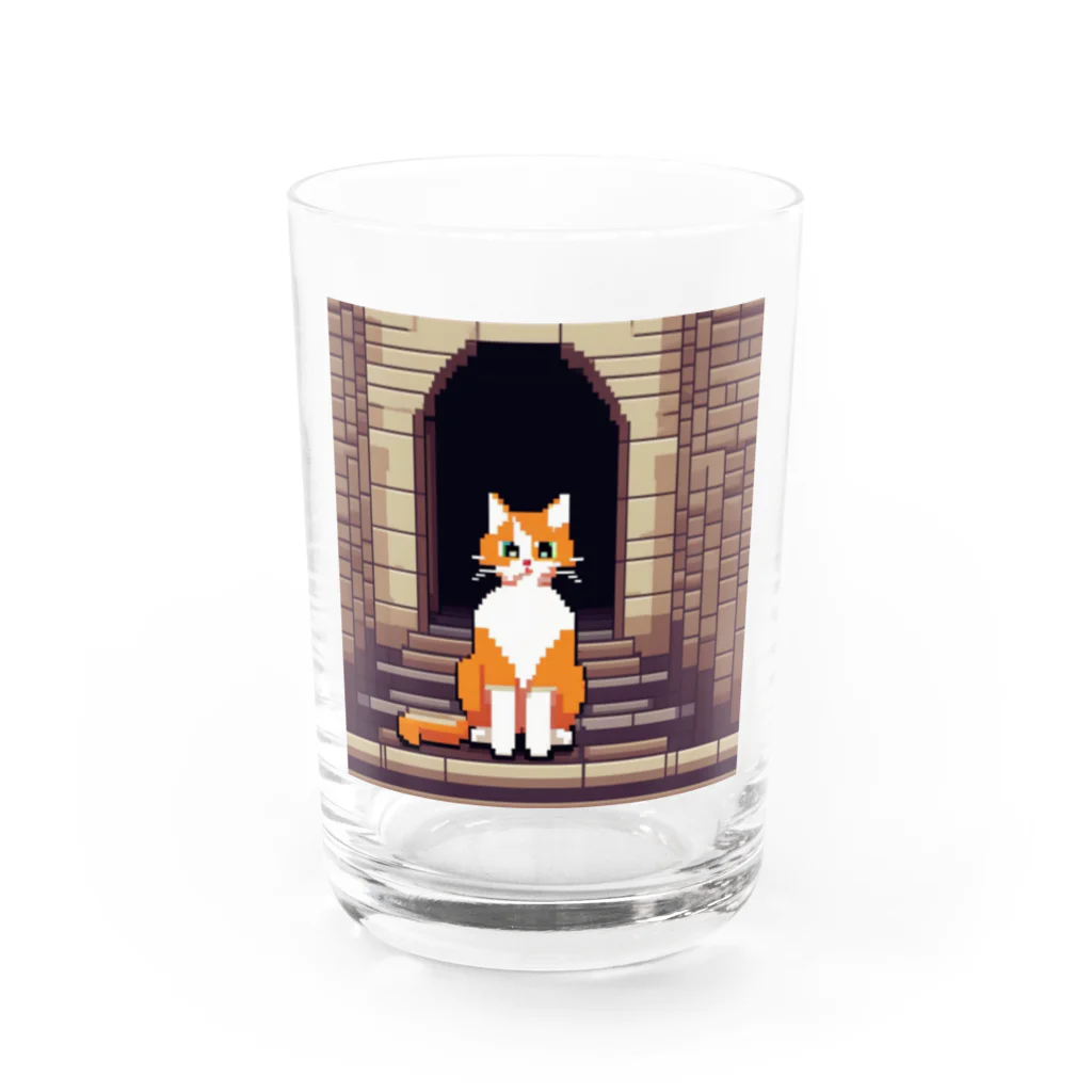 masaのトンネルで遊んでいる猫 Water Glass :front