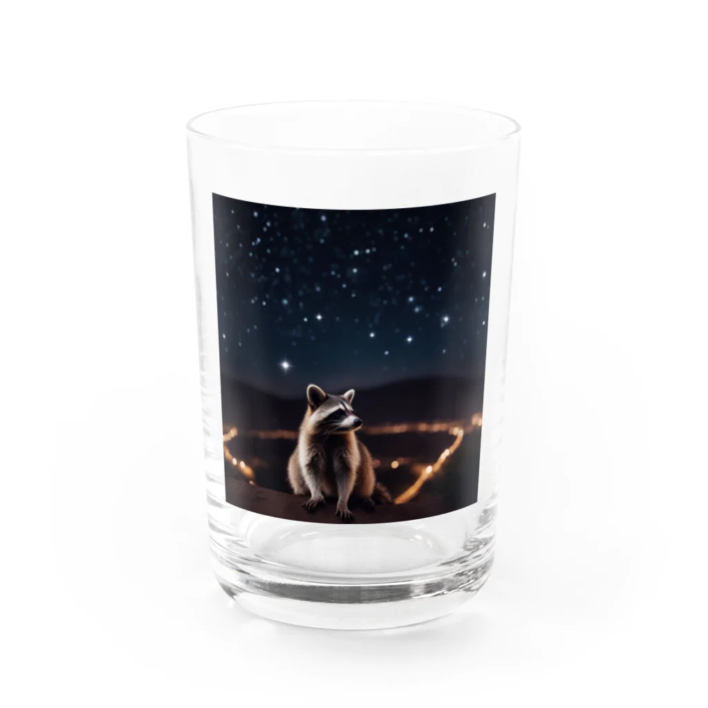 araiguma_shopの星を眺めているアライグマ Water Glass :front