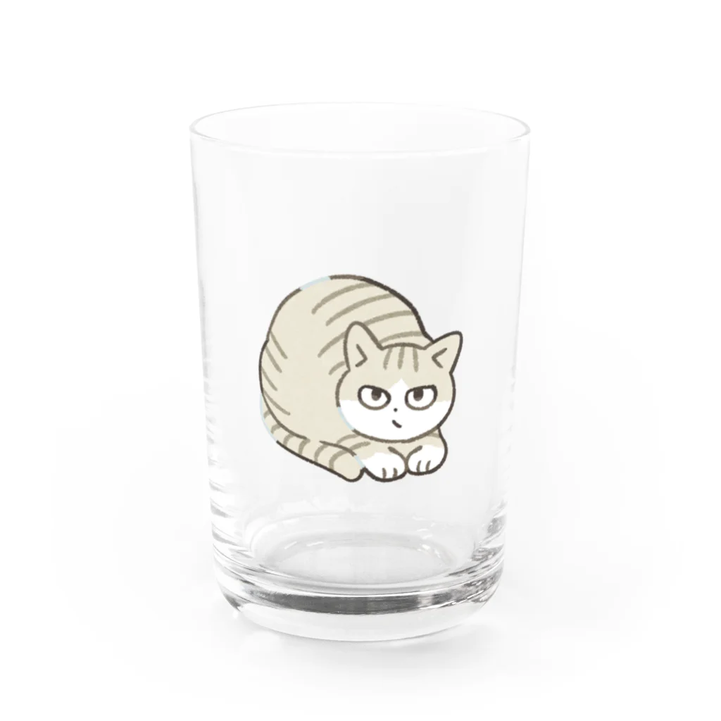 猫屋カエデのキジ白猫 Water Glass :front