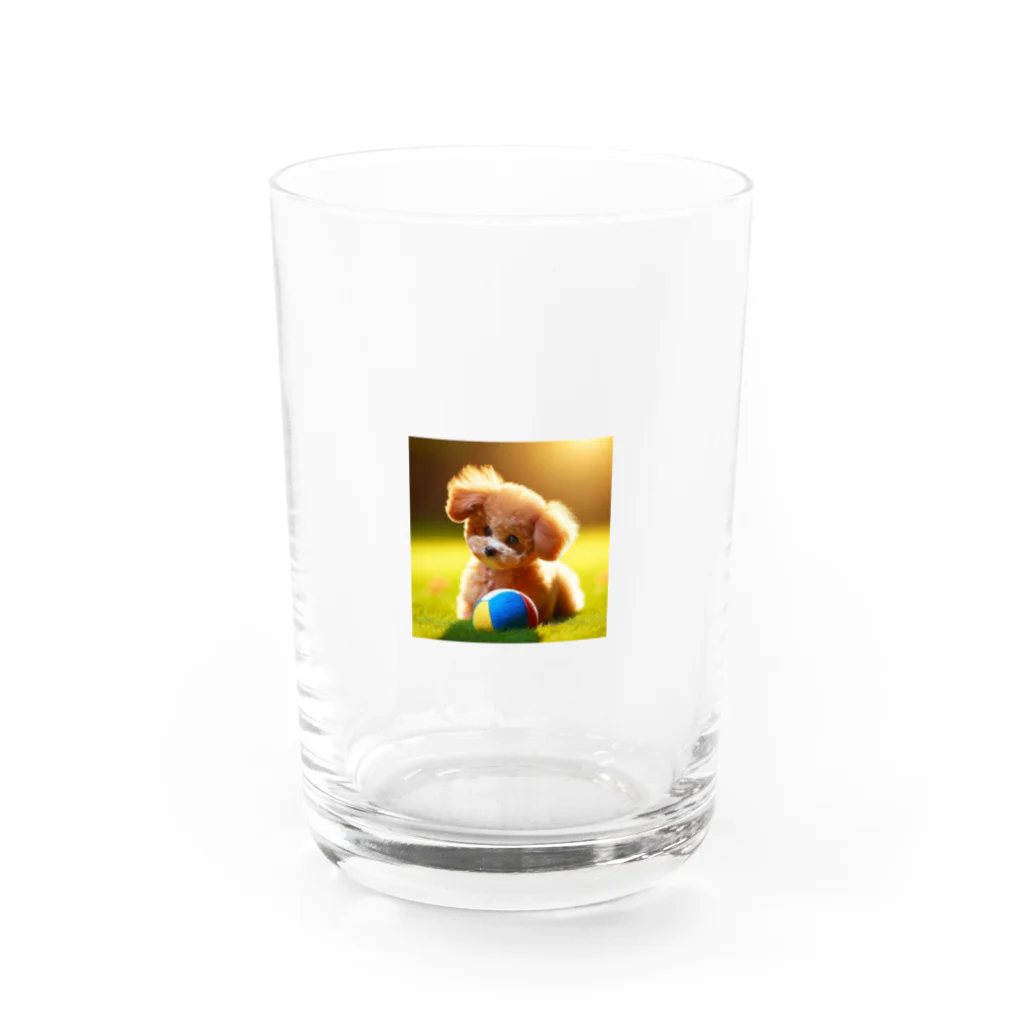 kaakanchan7のトイプードルのさんちゃん遊び疲れた Water Glass :front