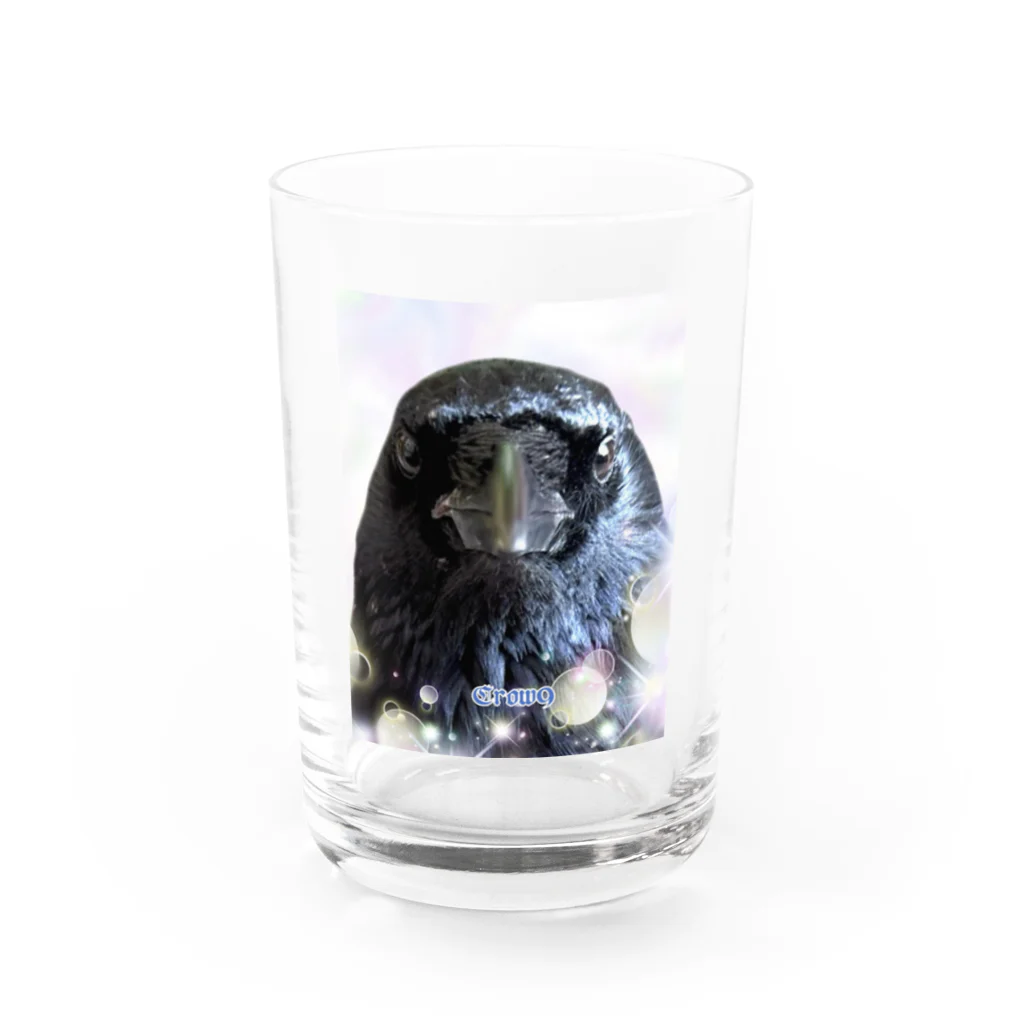 カラスのクッピのカラスのラビ Water Glass :front