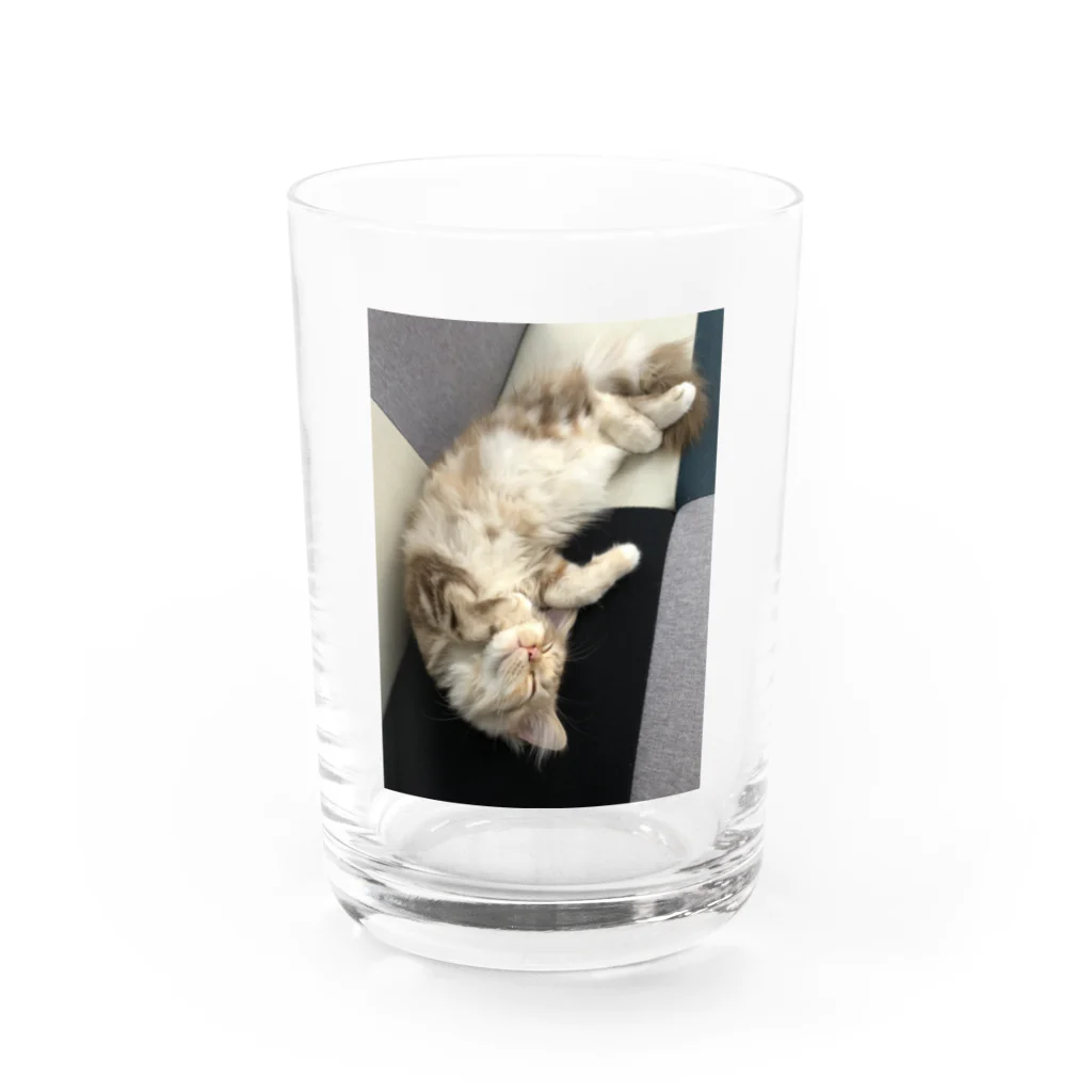 吾輩はベルである。ショップの福猫ベルちゃんの開運グッズ Water Glass :front