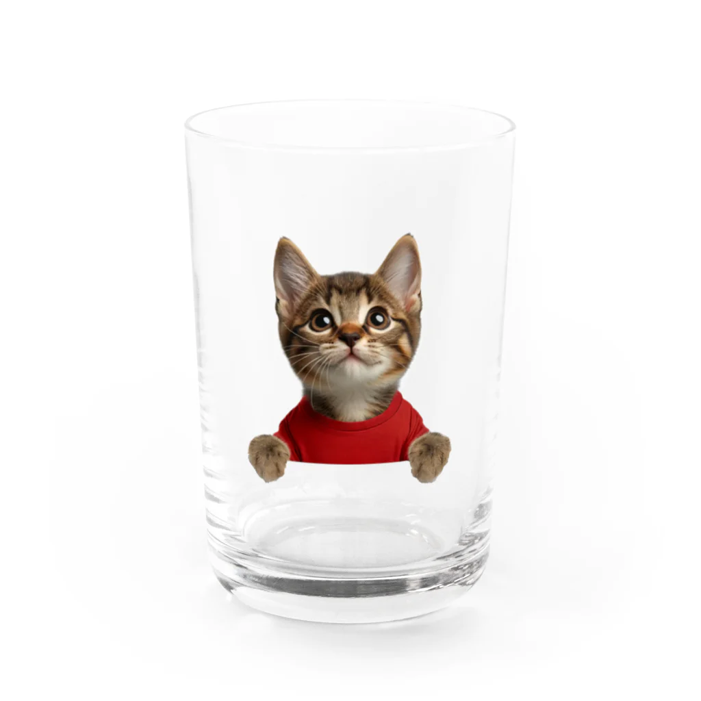 子猫のマイク・mikeの部屋のmikeナンバー１ Water Glass :front