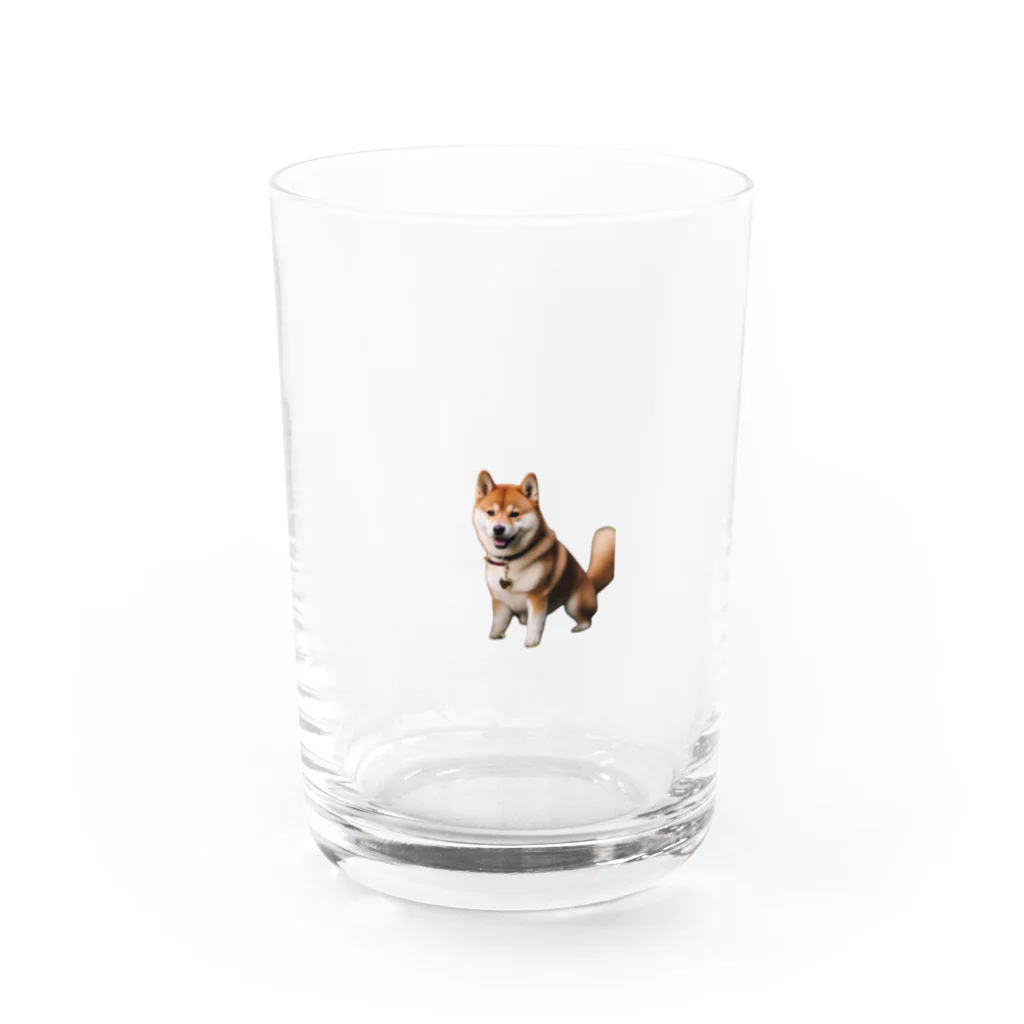 chibita08のキュートで活発な柴犬 Water Glass :front