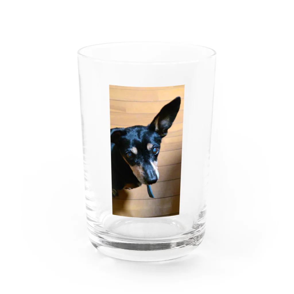 watama33の左耳立犬 Water Glass :front