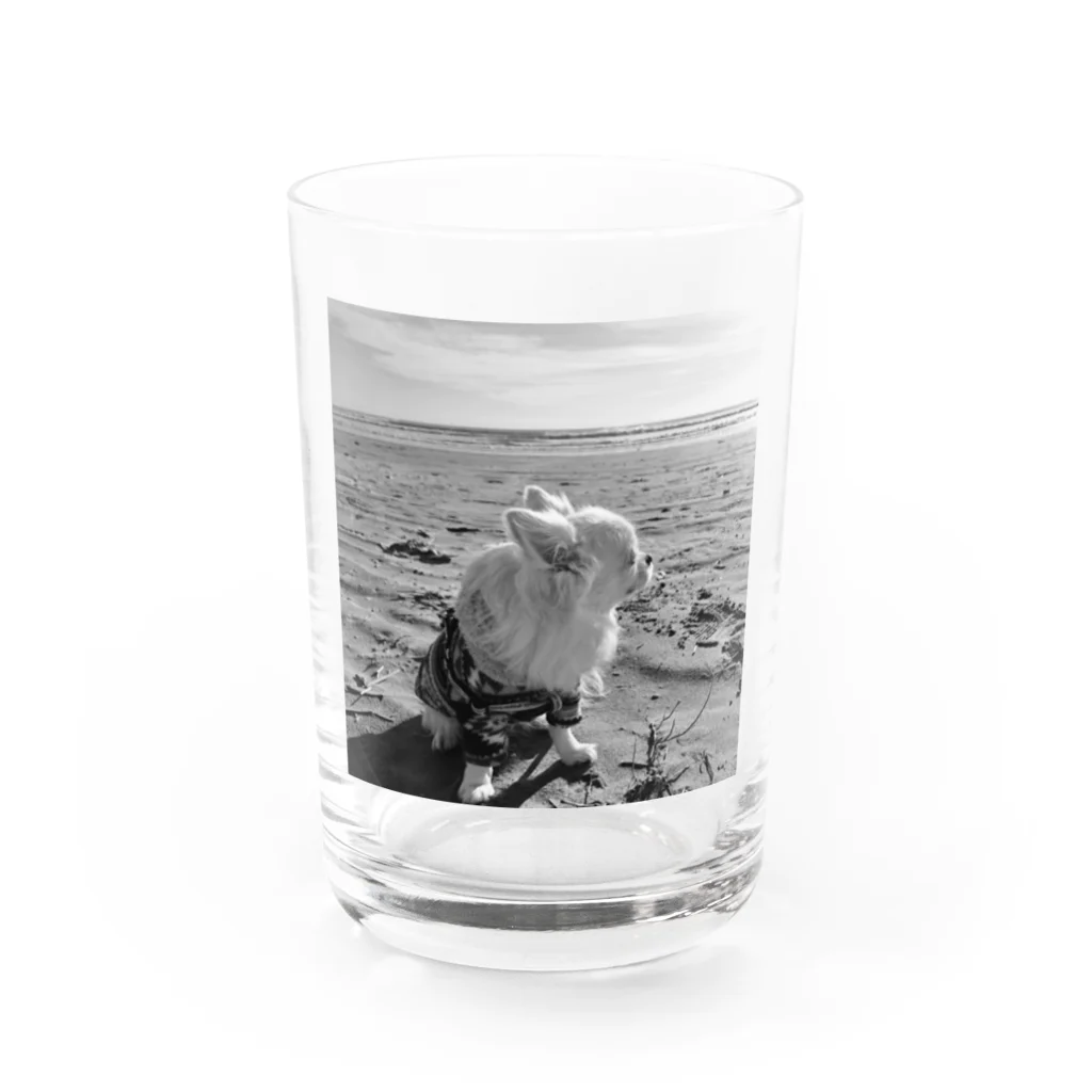 T_O-N_OのTONO-Coast2 Water Glass :front