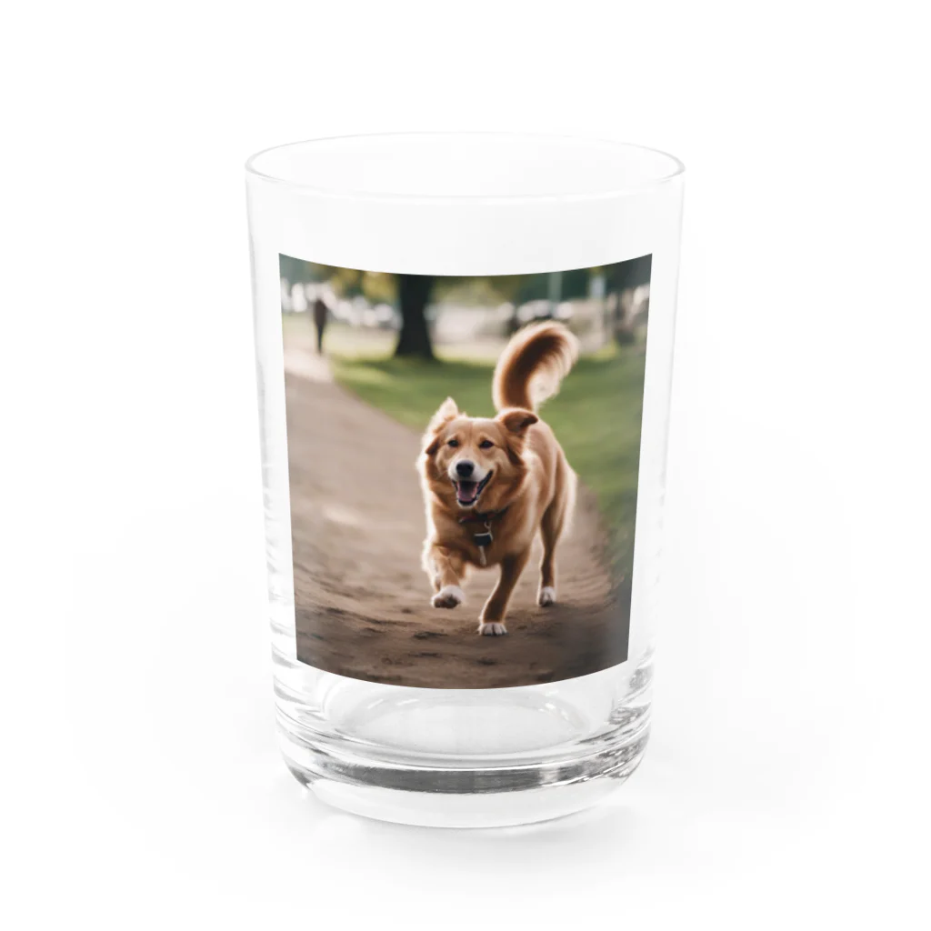 haru_0324の幸せそうな顔をしているわんこ Water Glass :front