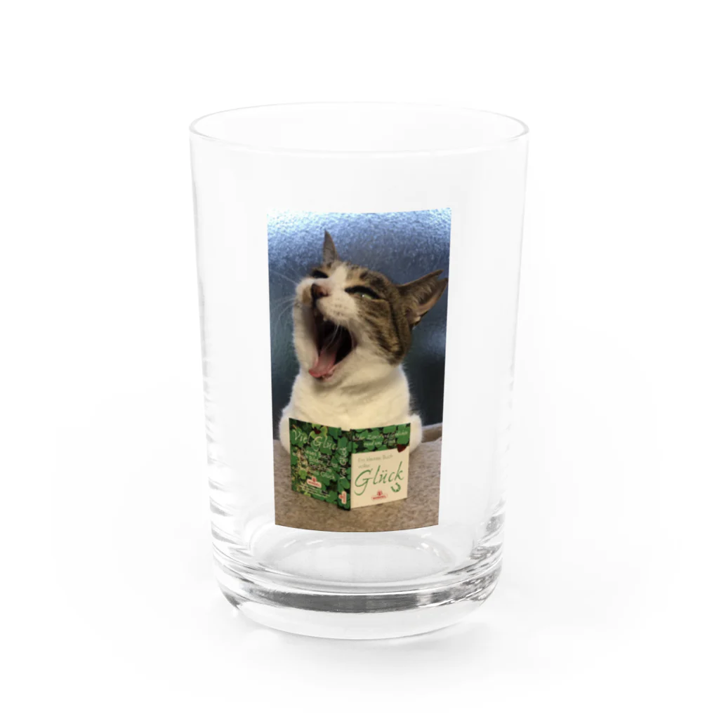 SHABBAT MOON のSHABBAT CAT Water Glass :front