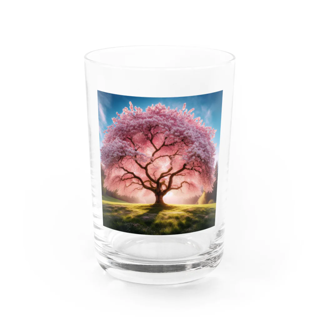 ニコショップの桜の木 Water Glass :front