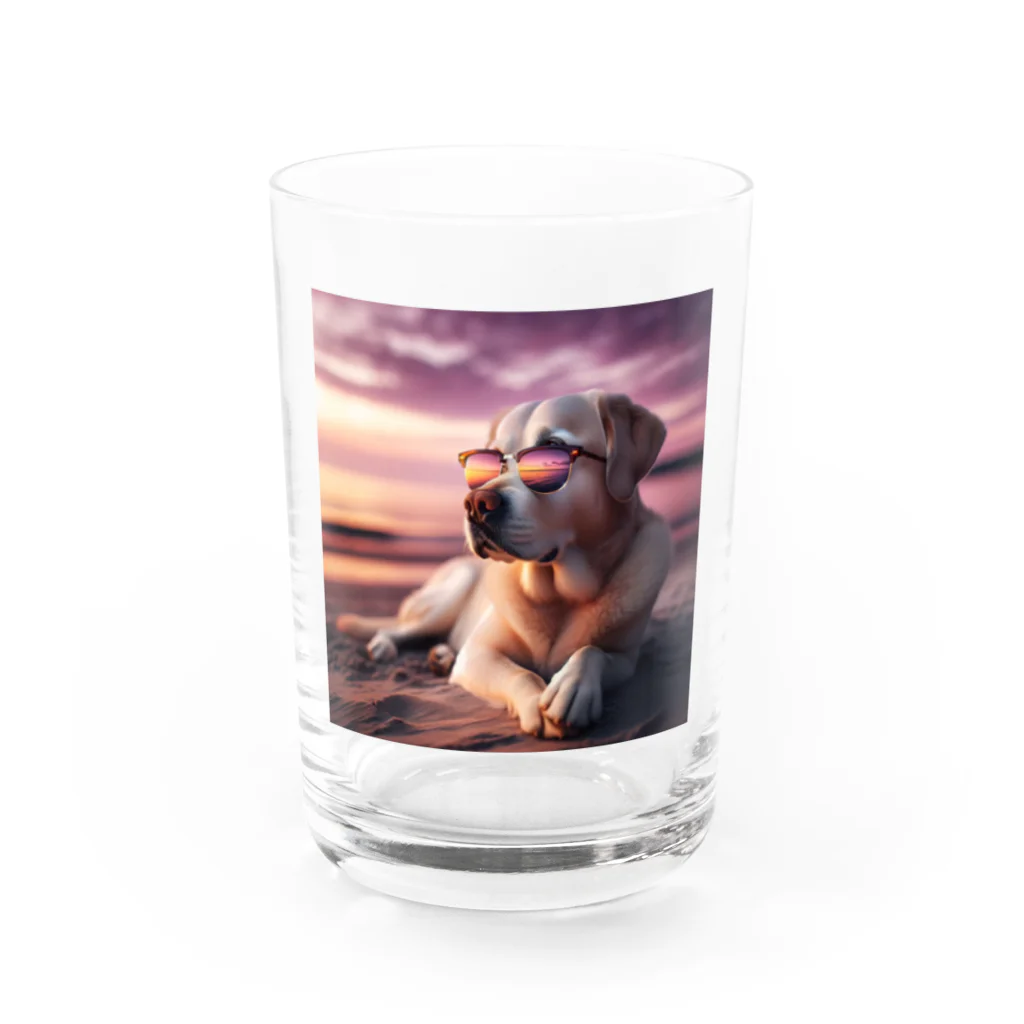 AQUAMETAVERSEのサングラスをかけた、かわいい犬 Marsa 106 Water Glass :front