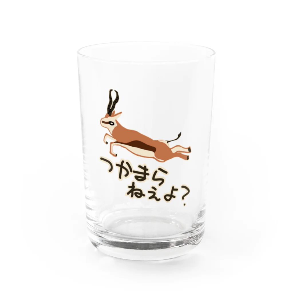 いきものや　のの（別館）のつかまらねぇよ【スプリングボック】 Water Glass :front