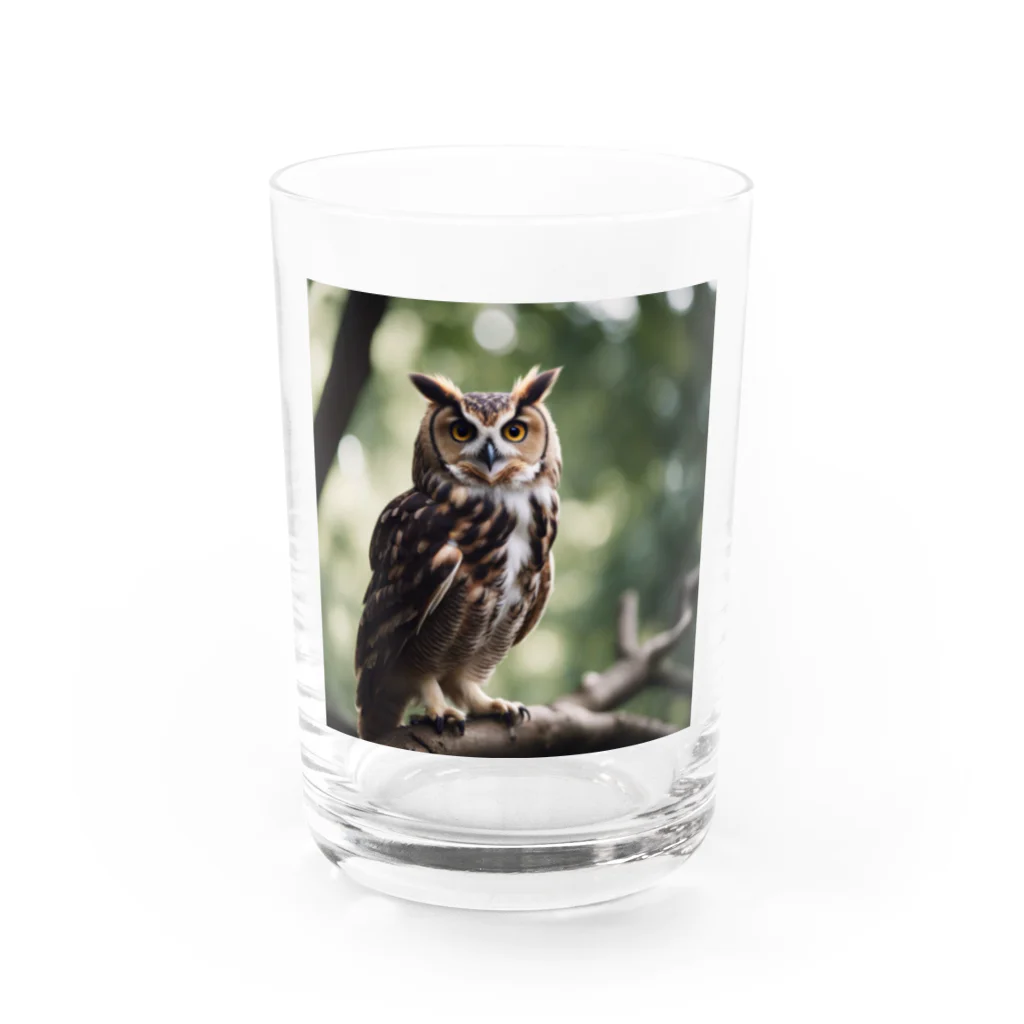keistyleの森の番人　フクロウ Water Glass :front