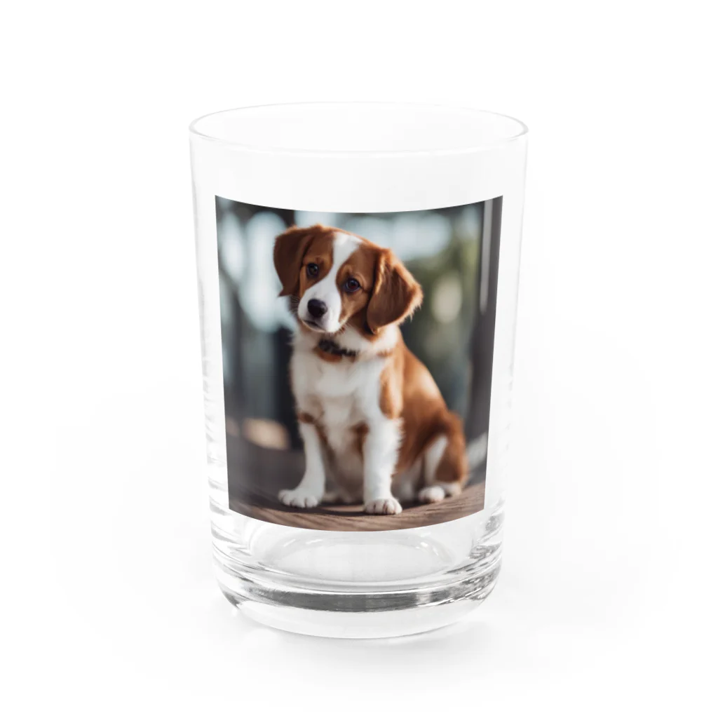 sadajapanの家族の帰りを待つコーイケルホンディエ Water Glass :front