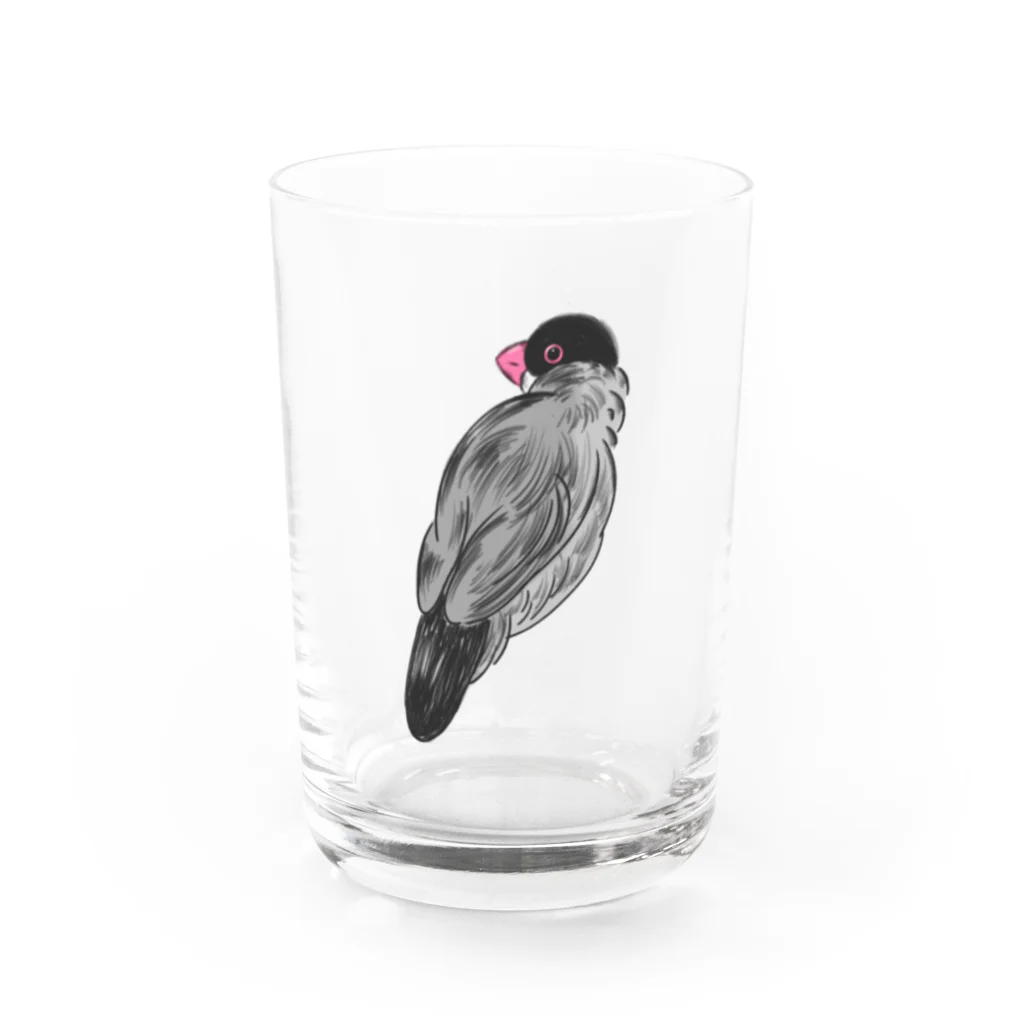 suzuaoのふさふさ文鳥くん Water Glass :front