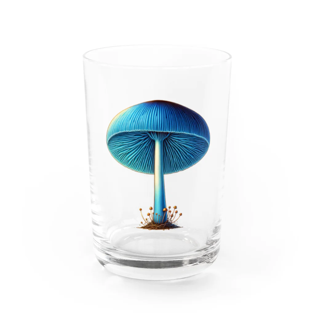 mushupのコンペイトウタケ Water Glass :front