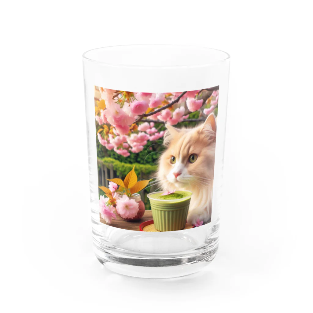 猫と紡ぐ物語の春の訪れを告げる桜満開 Water Glass :front