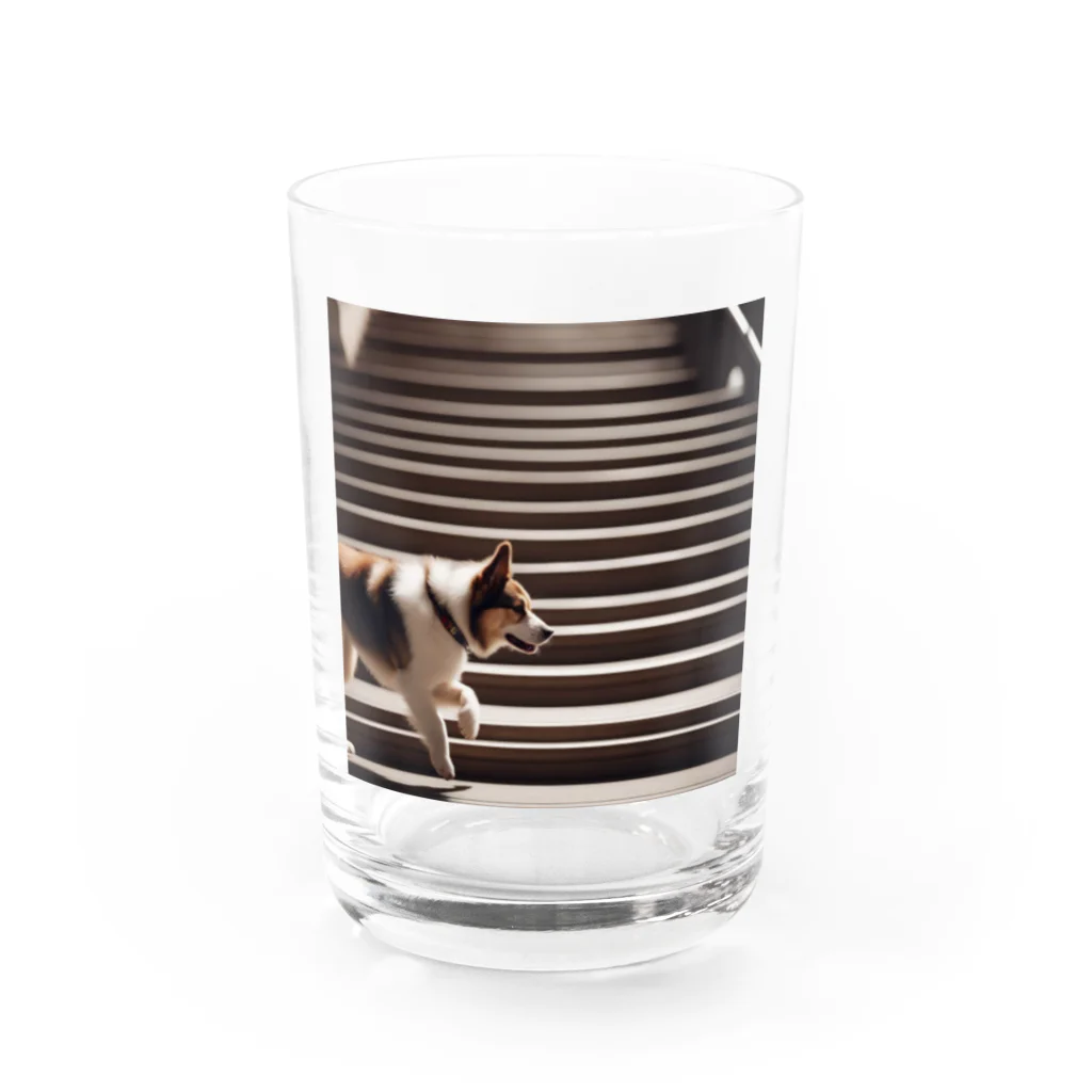 ★動物ショップ・kou2020★の犬15 Water Glass :front