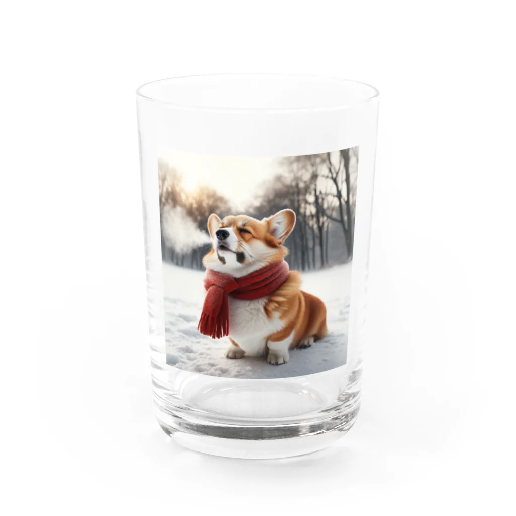 Colorful Canvasの寒さに耐えるコーギー Water Glass :front