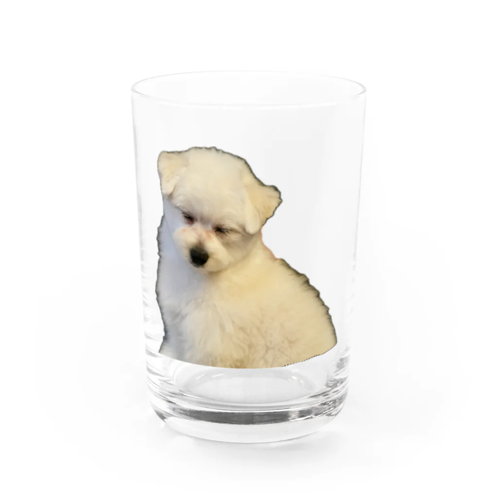 Luke The Onlyワンッ!!のSLEEP DOG Water Glass :front