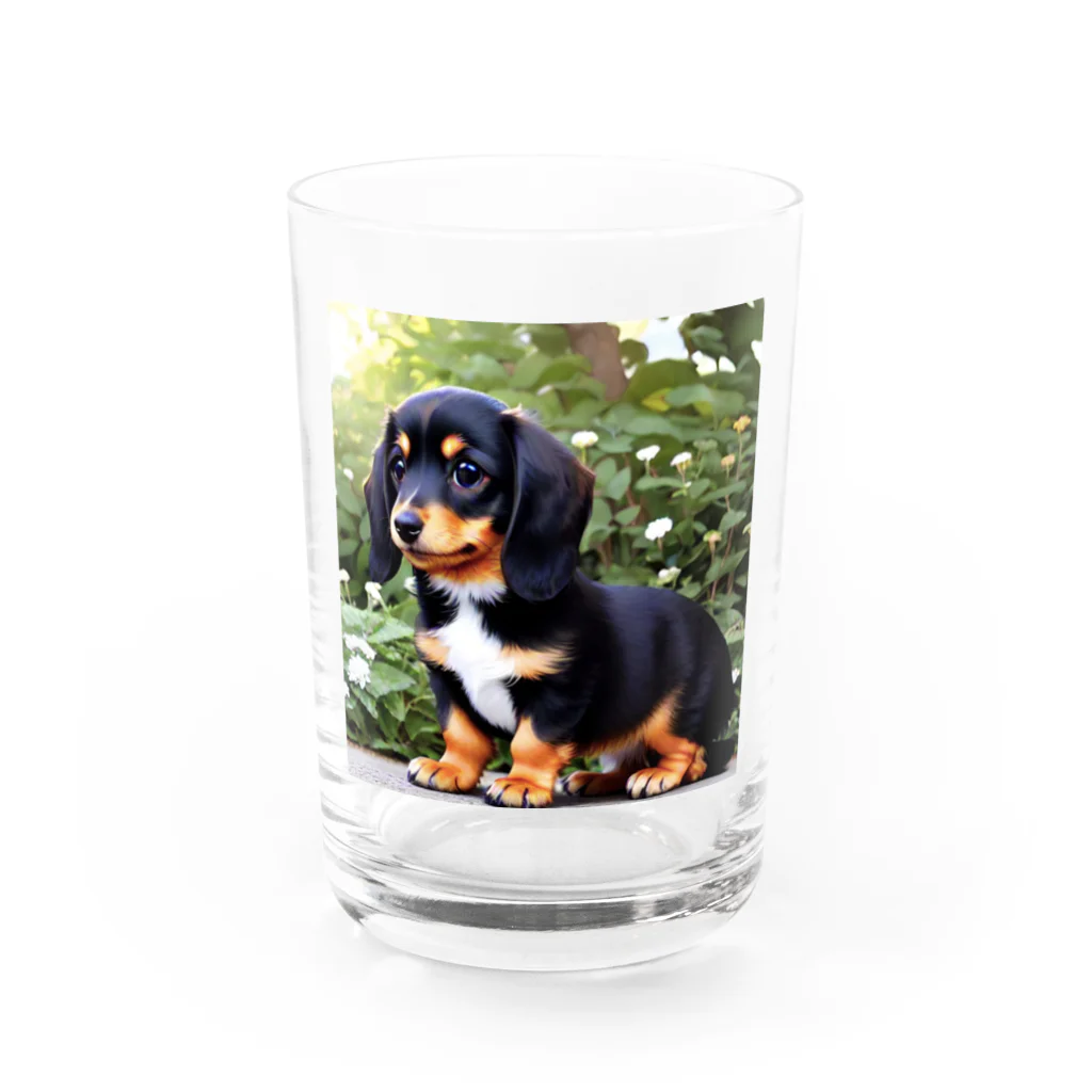 IROTOPIA🐾のダックスフントのリアムくん Water Glass :front