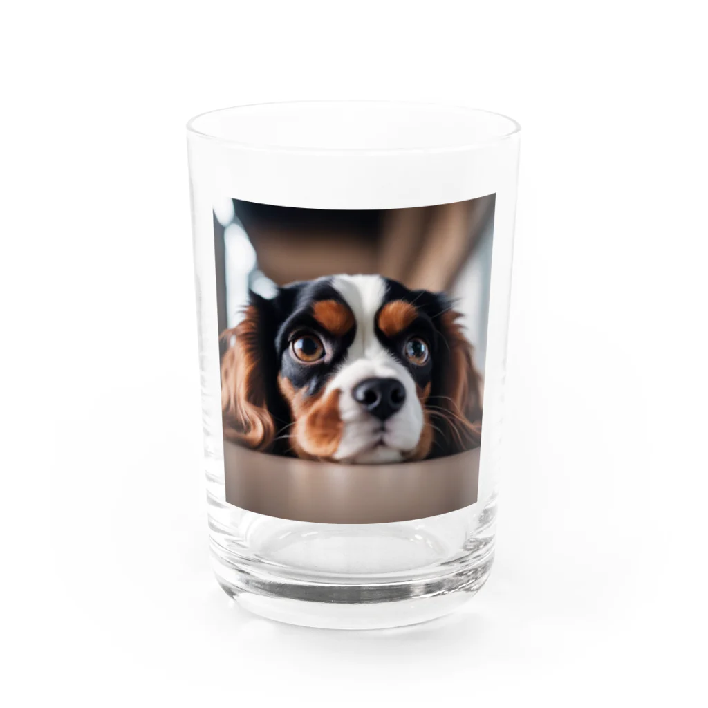 LoraCafeの見つめてBarry Water Glass :front