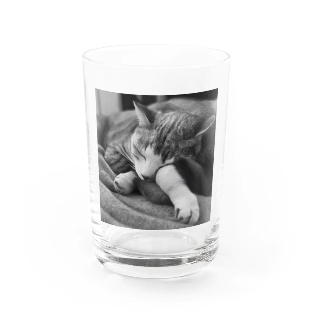 chocomegane0228のモノクロ猫 Water Glass :front