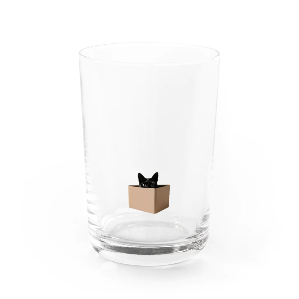 こっそりクロネコ。のハコイリクロネコ。 Water Glass :front