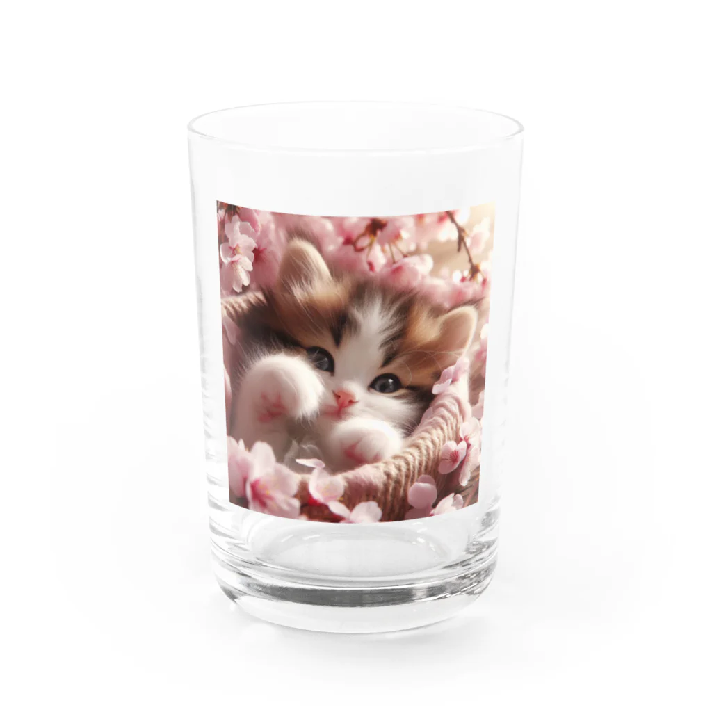 Chimetimeの桜と子猫 Water Glass :front