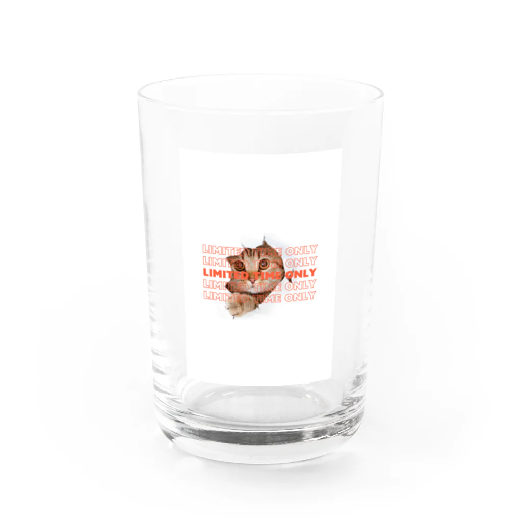 Holidayの猫 Water Glass :front