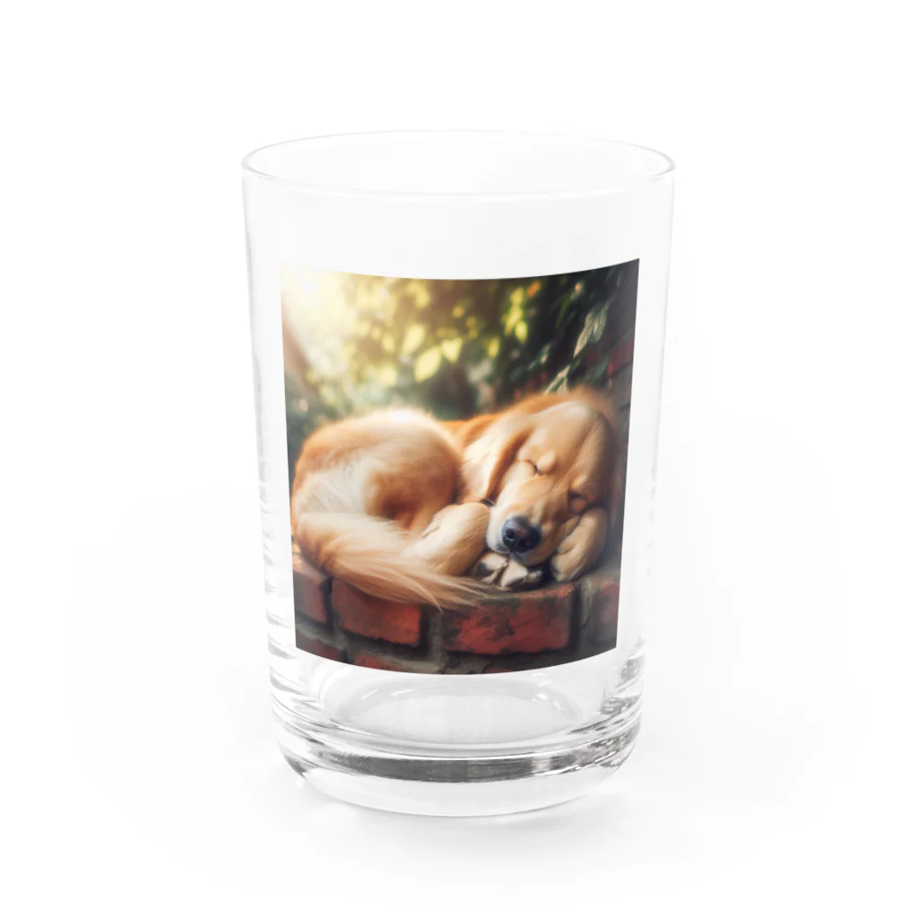 Ykhsの犬がぐっすり眠っている姿、超キュート！🐶💤 Water Glass :front