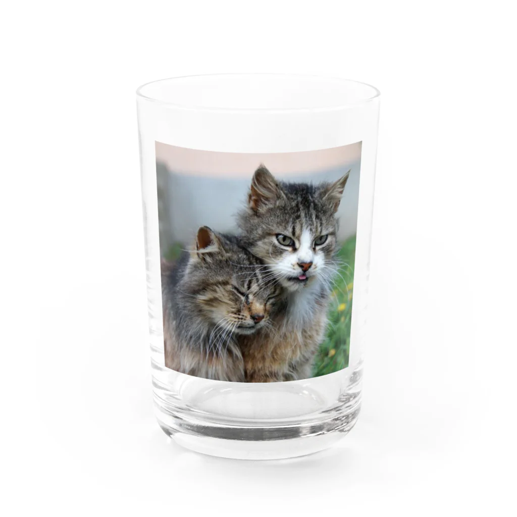 ニゴ猫　shopの愛だろう愛 Water Glass :front