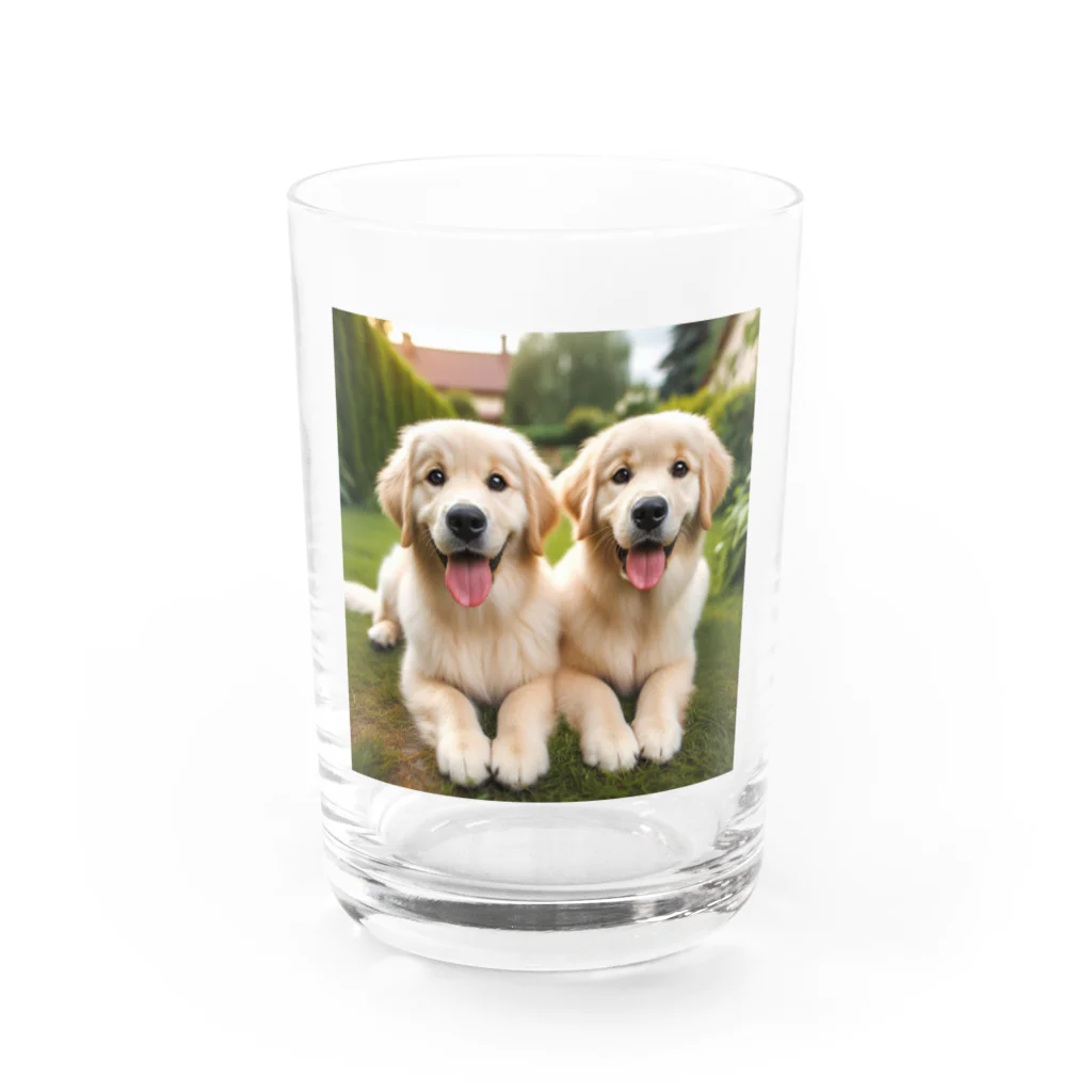 animalsの可愛い犬 Water Glass :front