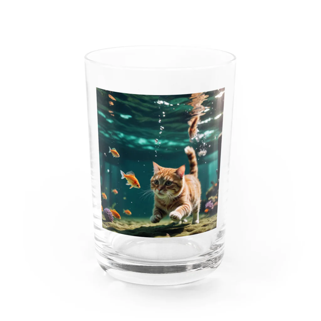 sion1010の泳ぐ猫グッズ Water Glass :front