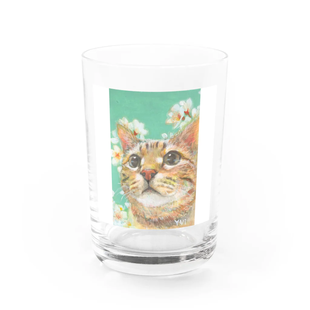 やさしい世界のさくらんぼの花とねこ Water Glass :front